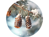 Всесвітній день снігу