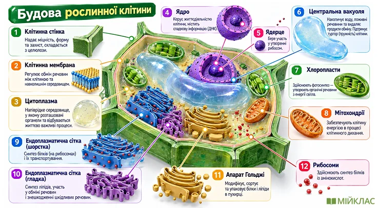 /explodedview — розбираємо на частини: приклад зображення, створеного ChatGPT